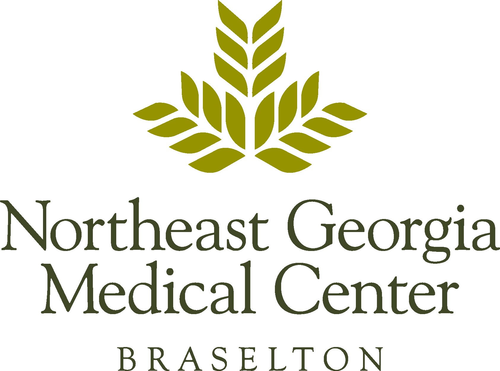Northeast Georgia Medical Center - Braselton
