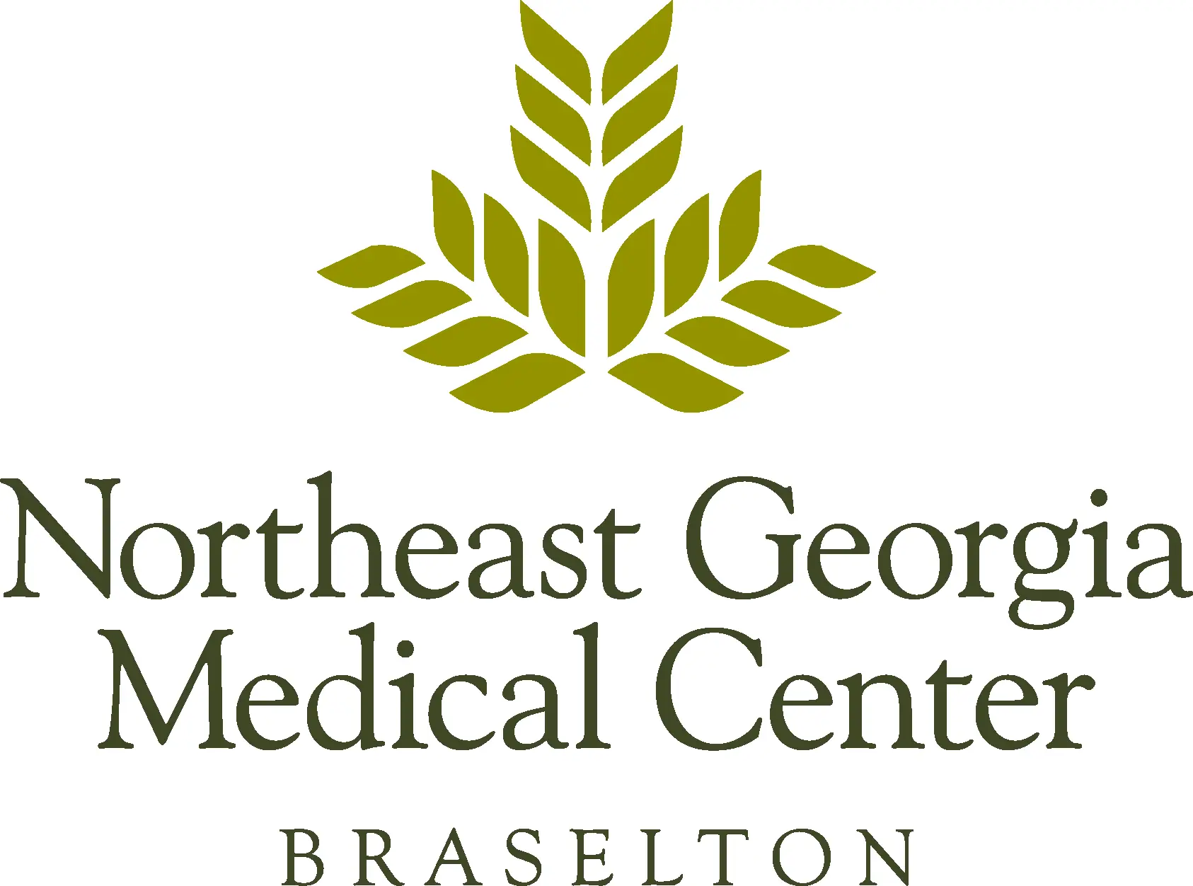 Northeast Georgia Medical Center - Braselton